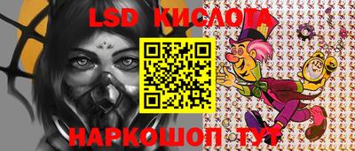 прущие грибы Боровичи