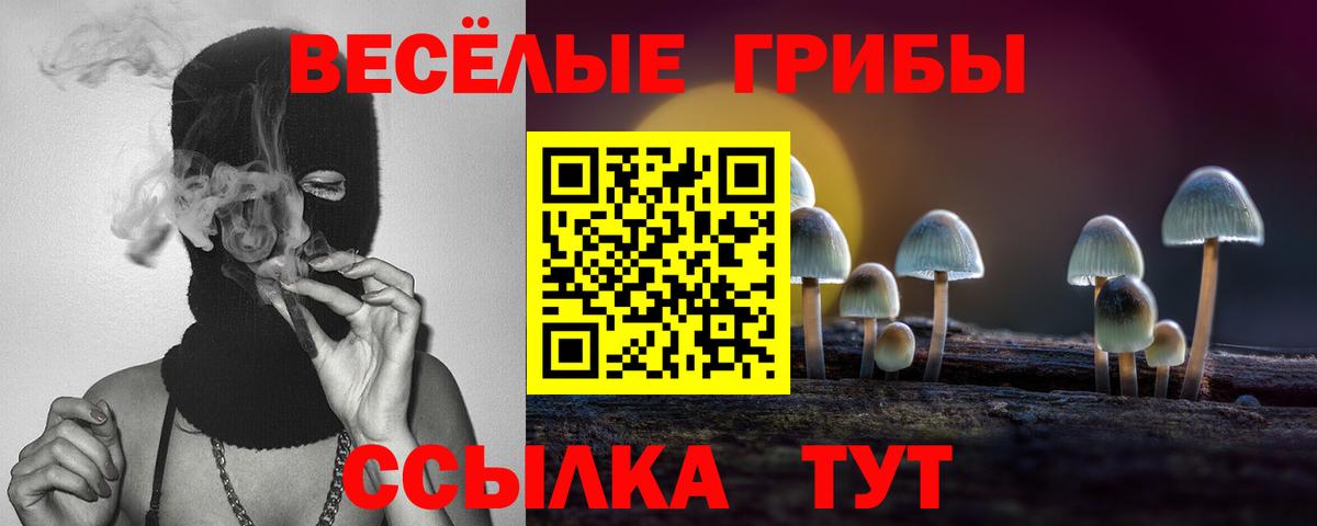 Димитровград  Галлюциногенные грибы ЛСД  купить наркотики сайты  Вход с VPN 